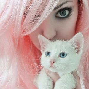 Meet your Posher, Midnight